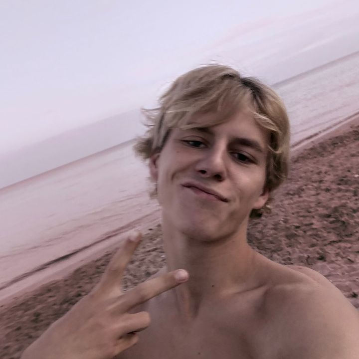 andrea__p8