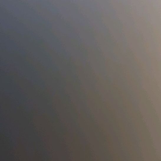 newseuro24