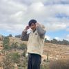 user3044753992081