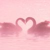 urchinesegirlie_11