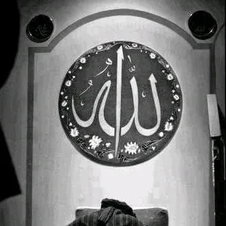 ammara.haider0