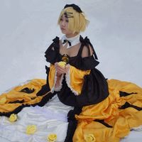 animecaii
