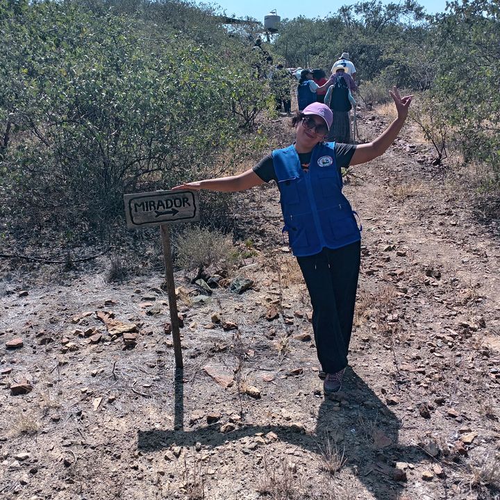 ycastillo3