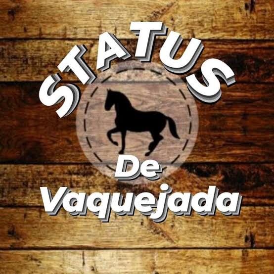 status.de.vaquejada - original sound