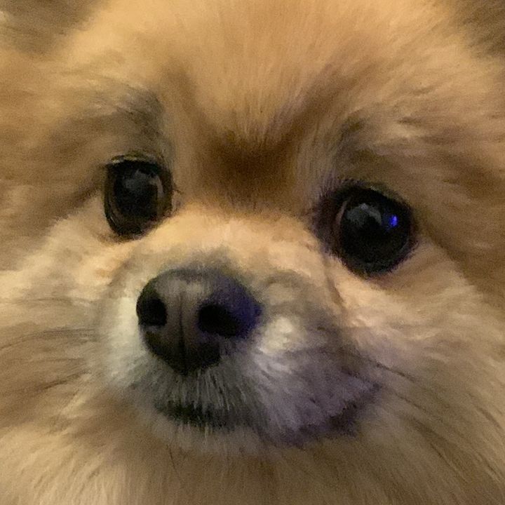 🍞 - original sound