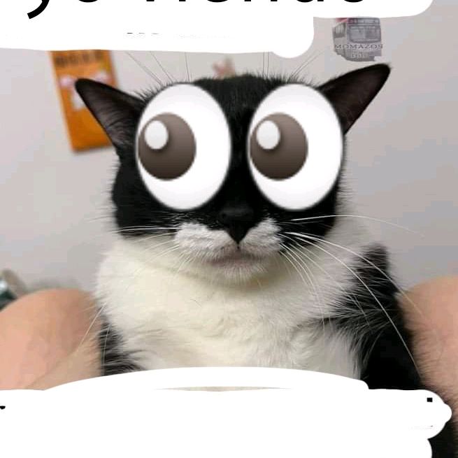 ttgzmo