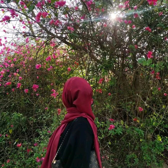 noor_esticx0