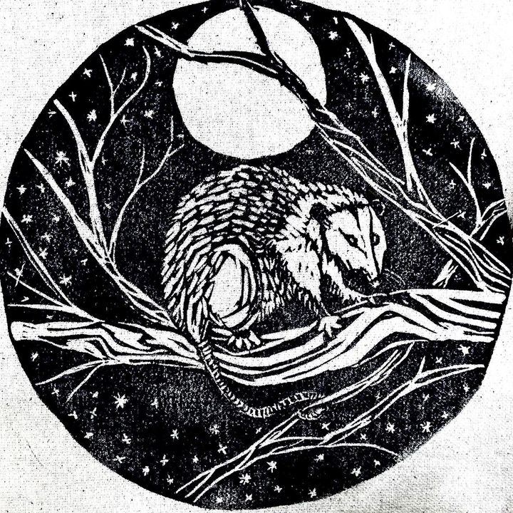 @opossum_apothecary