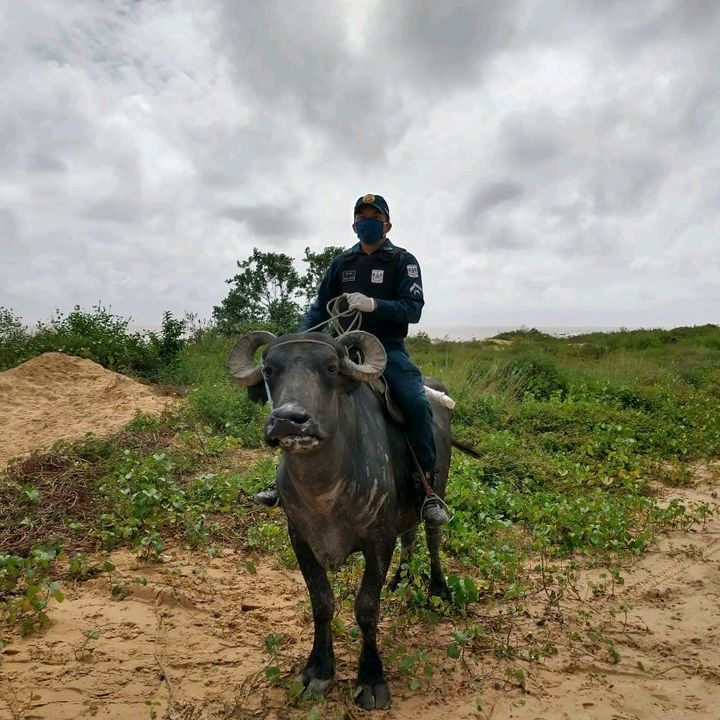 santinhoeu