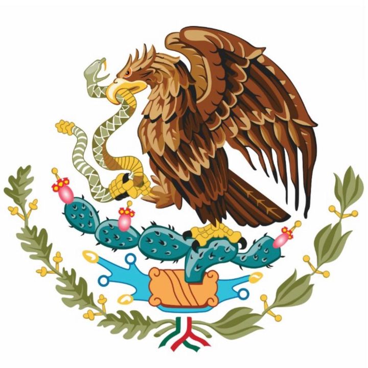 crazymexicanparents