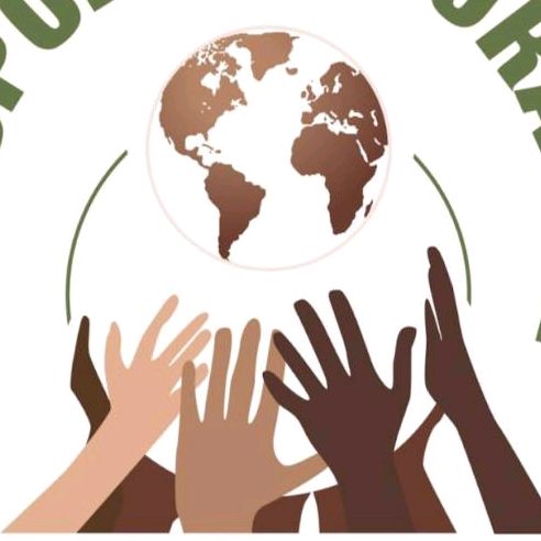 diasporainsurance