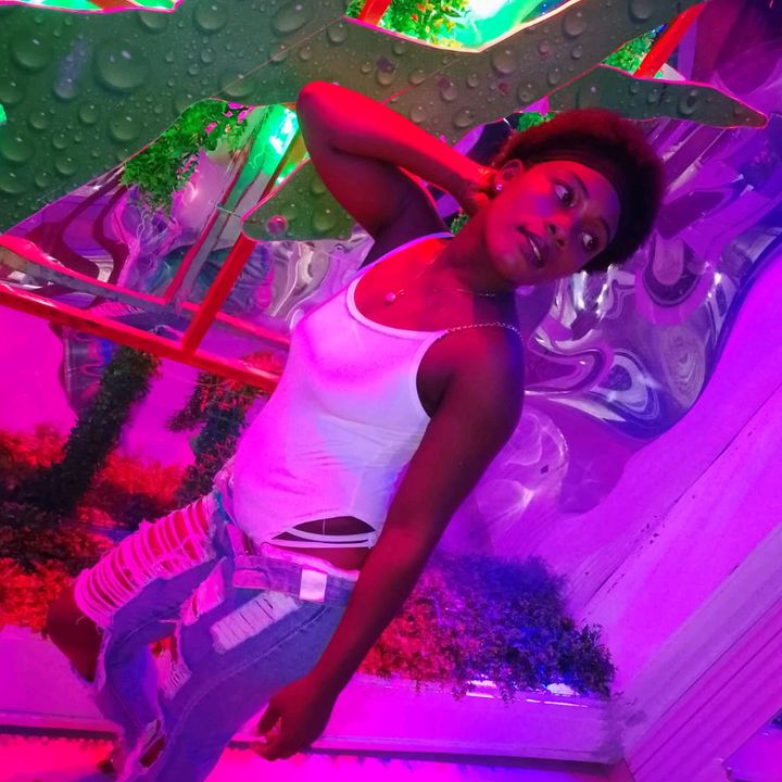 lanegra.com558