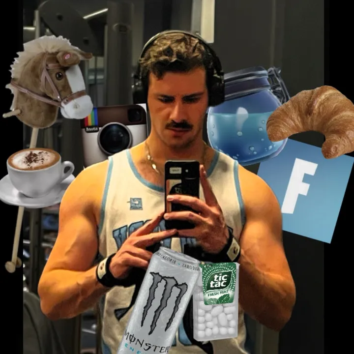 flipsegeiss