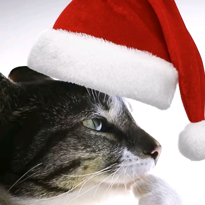 traxz_bwu3