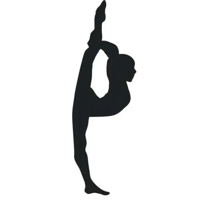 .acro_gym
