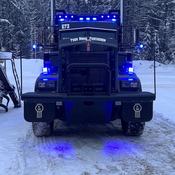 hammer_lane_timber_train