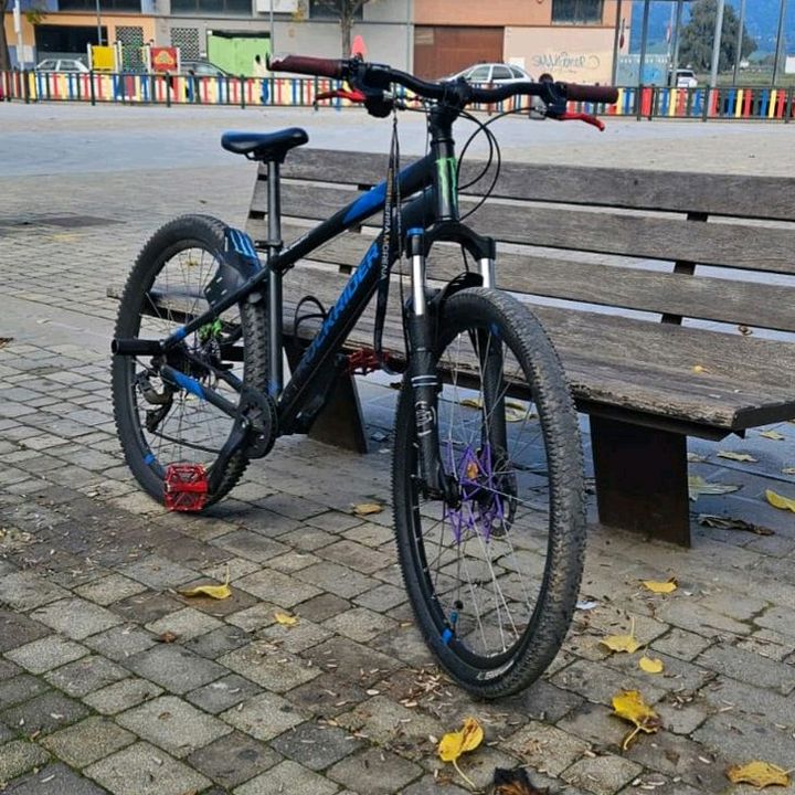 asavi12