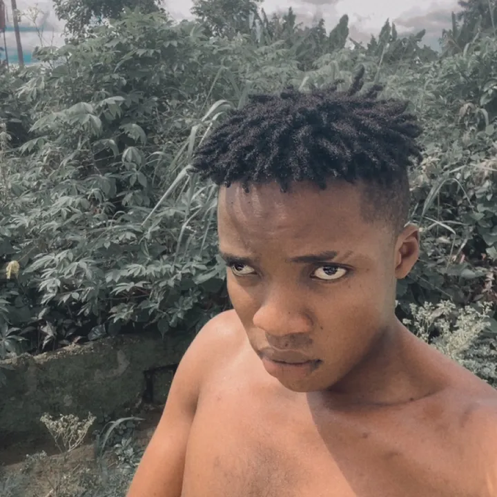 stellacardo334