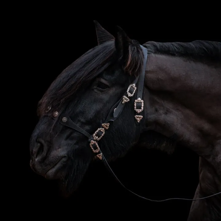 @untraitdecheval