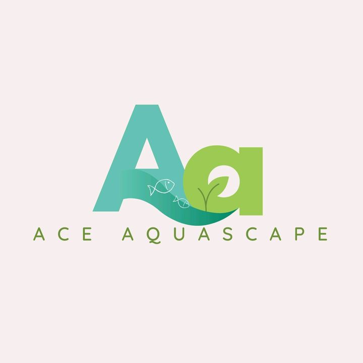 ace.aquascape