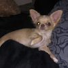 chloe59132