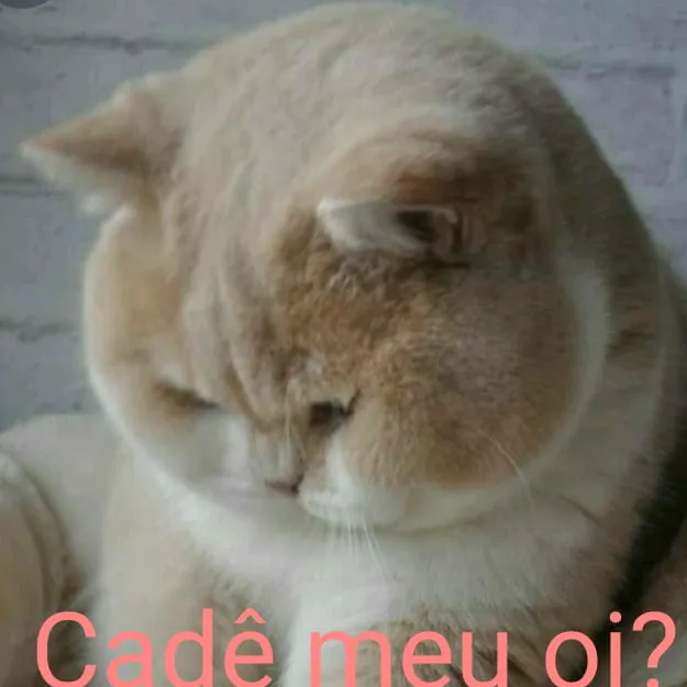 alanaisabelaklug3
