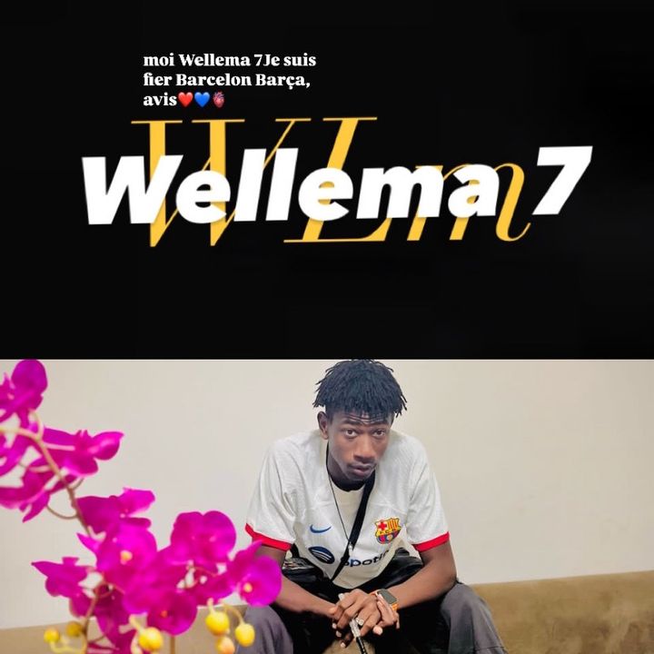 wellema7