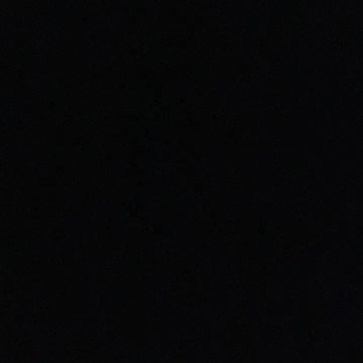 inesbrdsss