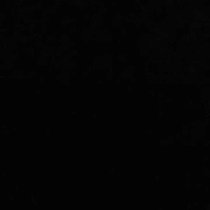 .mxltem