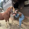 colleenhorseaccxoxo2