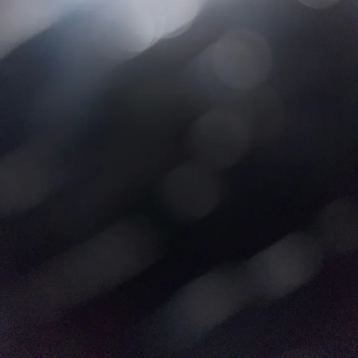 fortis.acdemy.shi