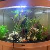 crbaquatics