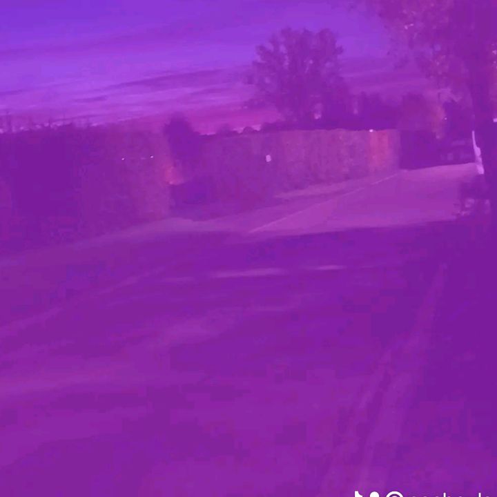noeboulay1