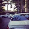 music_cars17