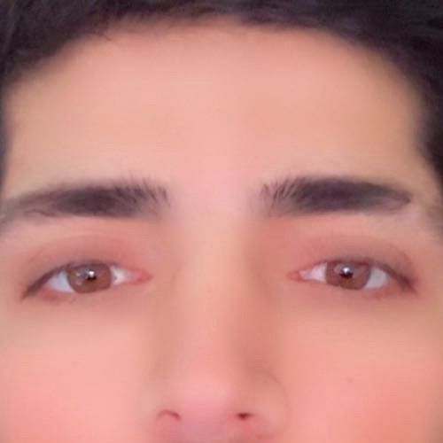 lordkurdi3