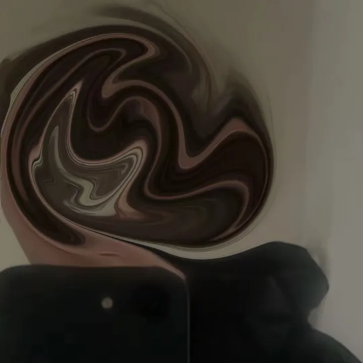 dz_thewise