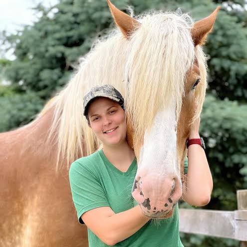 horsesanctuary2