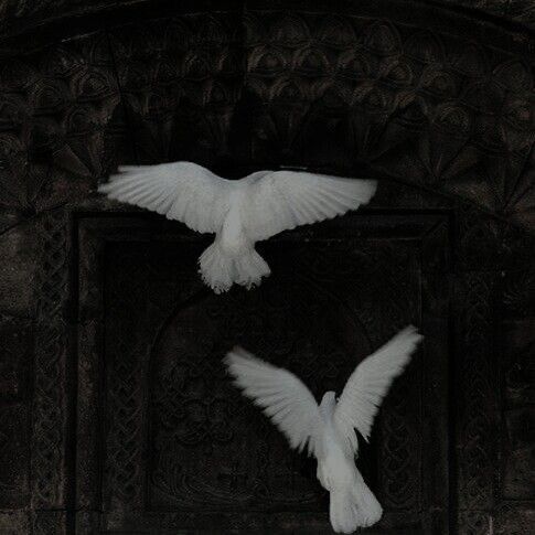 juno - angel