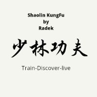 shaolinkungfubyradek