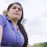 amliv.mm95