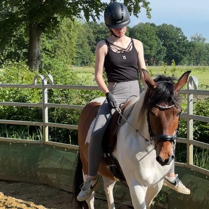 dreamy.horselife