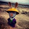 bob_jm