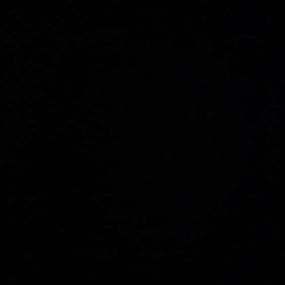 7_gshniki1