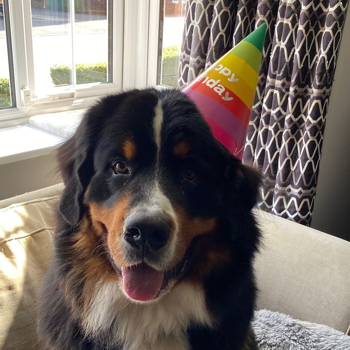@bauer_hudsonandmoose