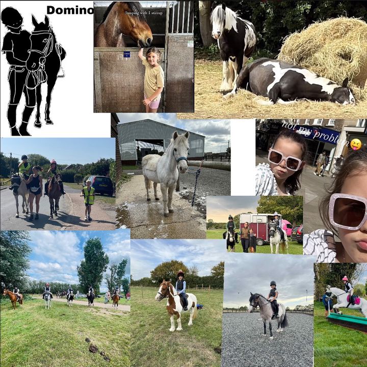 daisy_and_the_ponys24