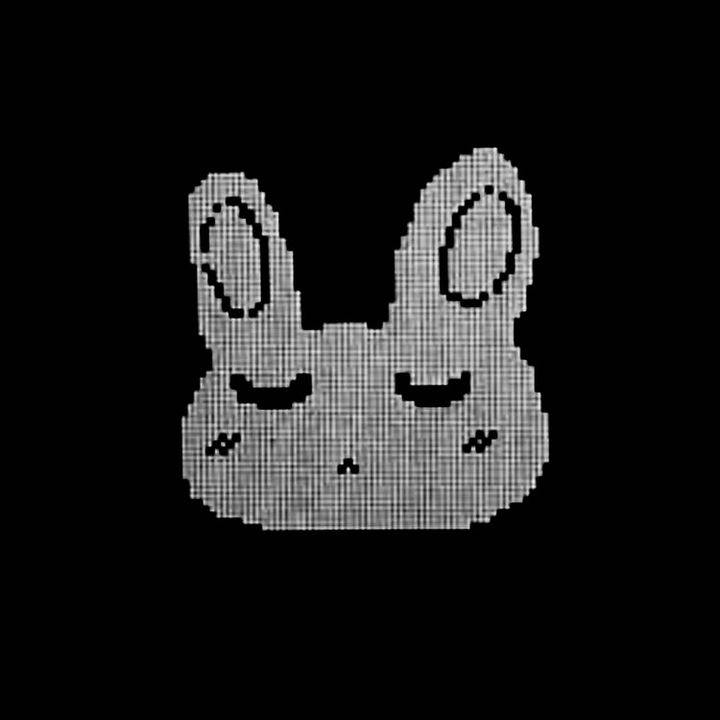 bunnydiscord