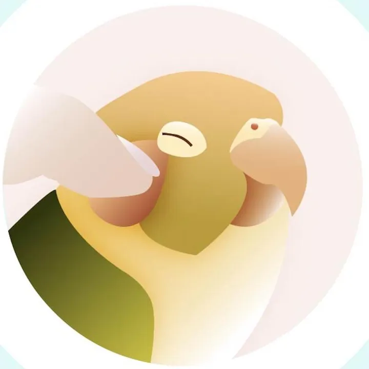 pinnabird