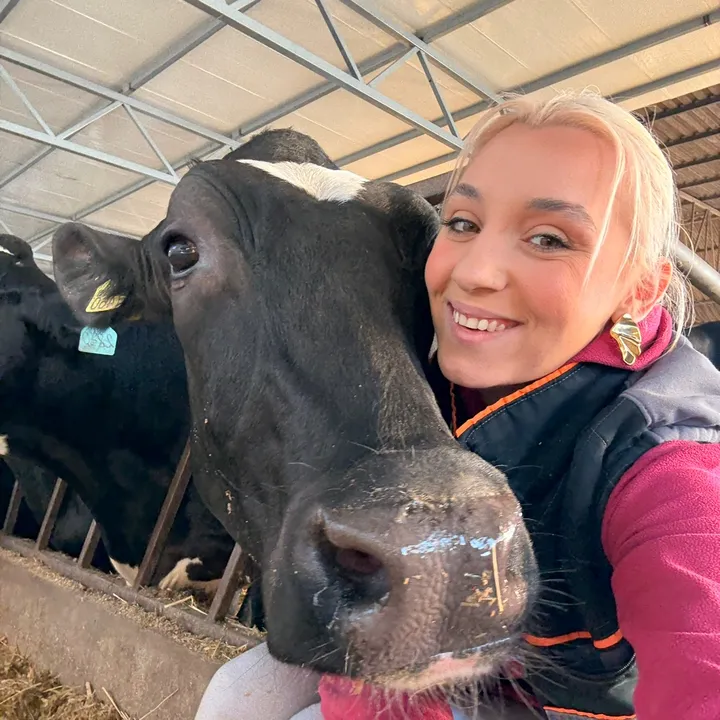 mother_of_cows