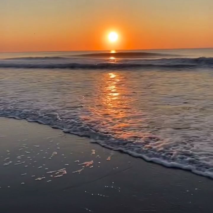 mariaya.247