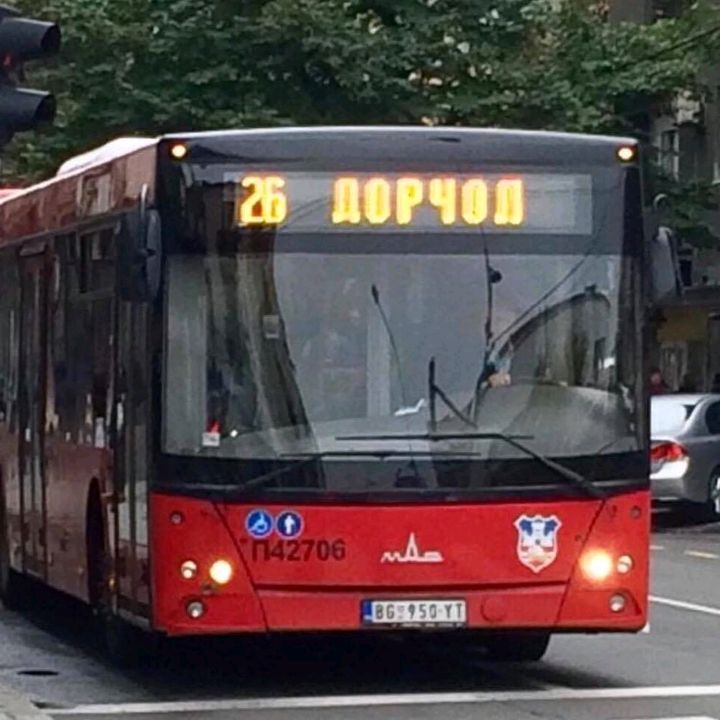 dorcolac523